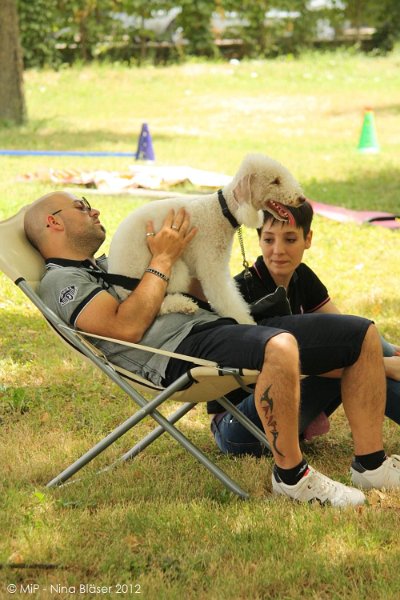 2012-07-01 B & B - Bedlington & Bichon Fun Day (96)_1000x1500.jpg